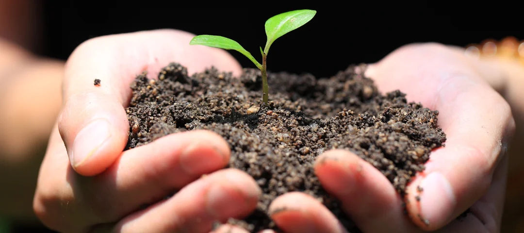 Sapone solido naturale: una scelta per l'ambiente Saponificio Zimmitti Sapone solido naturale: una scelta per l'ambiente Saponificio Zimmitti